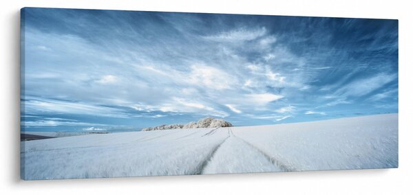 Tablou - Câmp (120x50 cm)