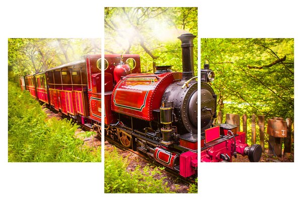 Tablou - Tren cu aburi (90x60 cm)