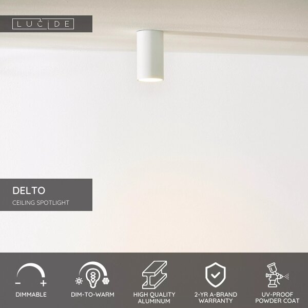 Spot LED dimabil Lucide 09915/06/31 DELTO 1xGU10/5W/230V alb