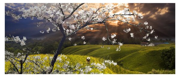 Tablou - Peisaj cu pomul înflorit (120x50 cm)