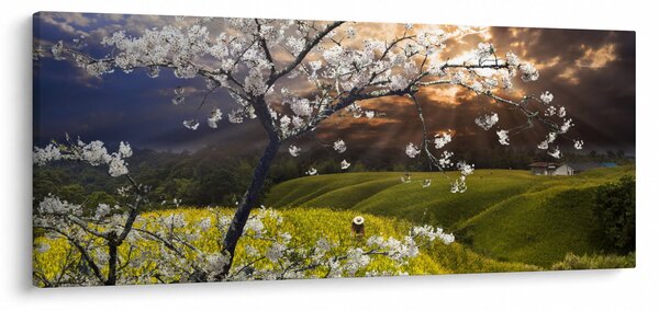 Tablou - Peisaj cu pomul înflorit (120x50 cm)