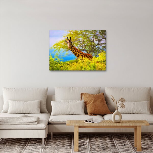 Tablou - Girafa în Africa (70x50 cm)