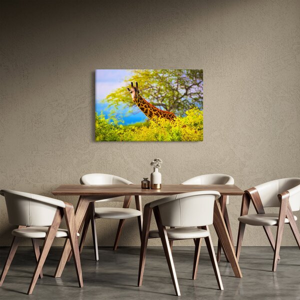 Tablou - Girafa în Africa (90x60 cm)