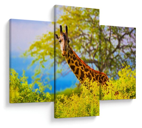 Tablou - Girafa în Africa (90x60 cm)