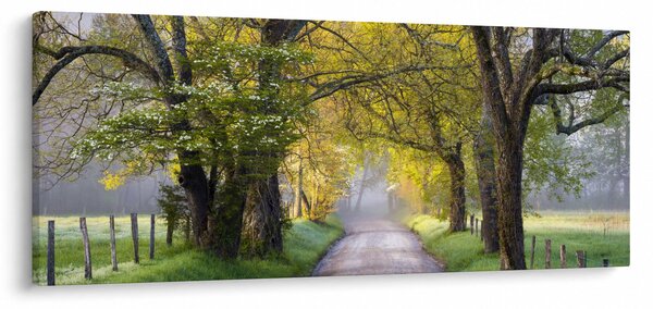 Tablou - Smoky Mountains, Gatlinburg, SUA (120x50 cm)