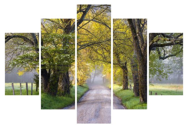 Tablou - Smoky Mountains, Gatlinburg, SUA (150x105 cm)