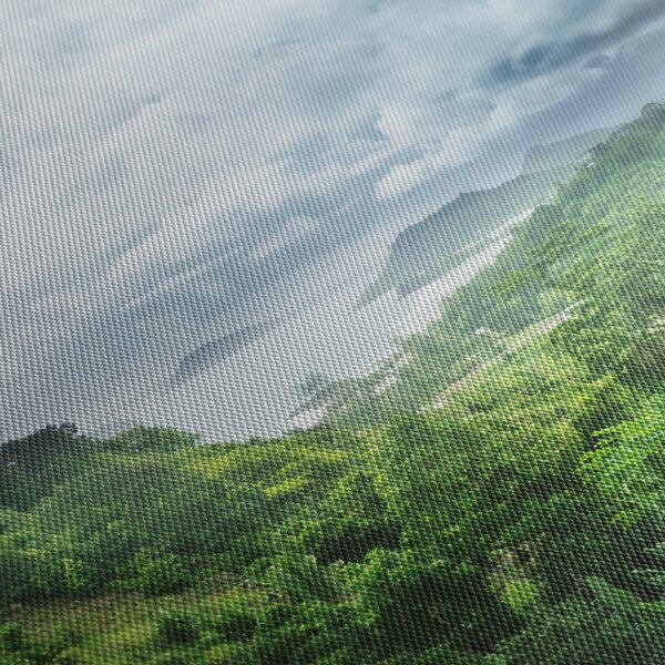 Tablou -Jungla din Seychelles (70x50 cm)