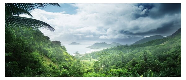Tablou -Jungla din Seychelles (120x50 cm)