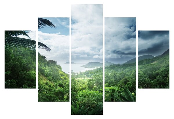 Tablou -Jungla din Seychelles (150x105 cm)