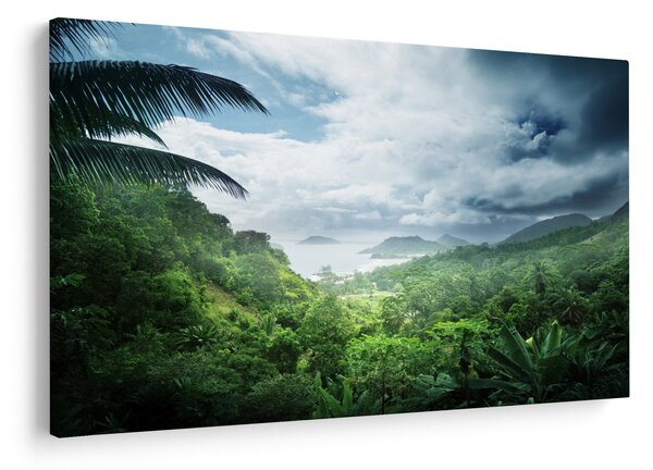 Tablou -Jungla din Seychelles (90x60 cm)