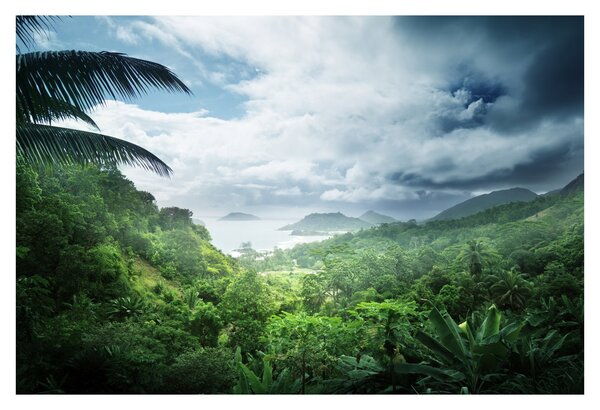 Tablou -Jungla din Seychelles (90x60 cm)