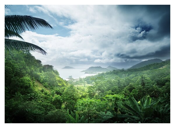 Tablou -Jungla din Seychelles (70x50 cm)
