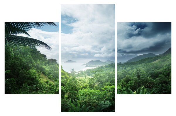Tablou -Jungla din Seychelles (90x60 cm)