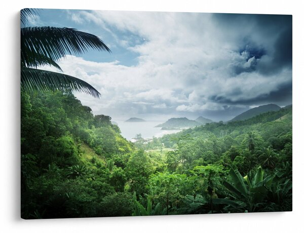 Tablou -Jungla din Seychelles (70x50 cm)