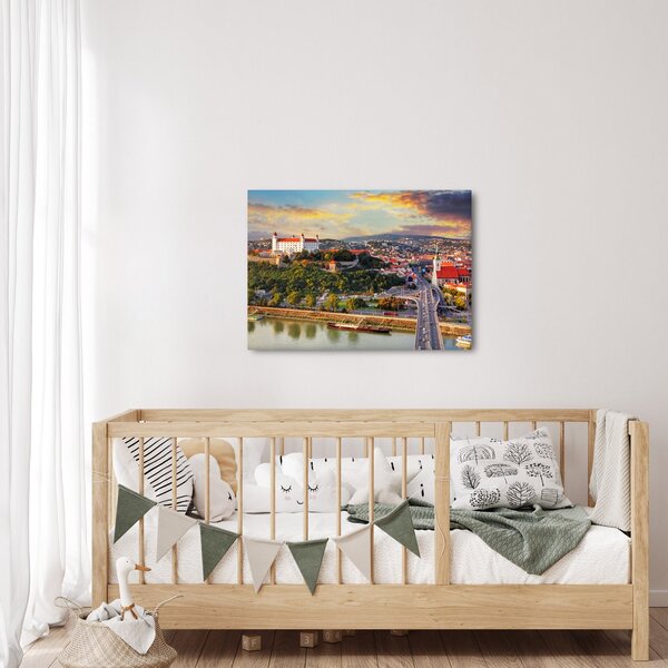Tablou - Panorama bratislavei, Slovacia (70x50 cm)