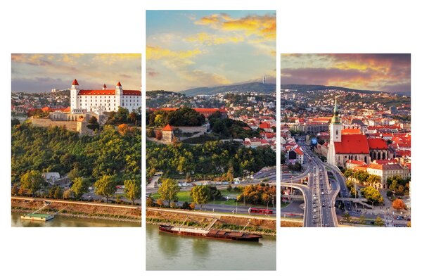 Tablou - Panorama bratislavei, Slovacia (90x60 cm)
