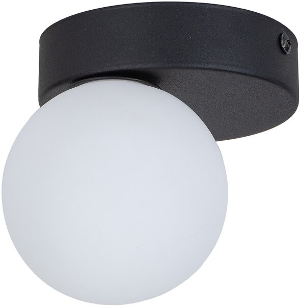 TK Lighting Bianca Black lampă de tavan 1x6 W alb-negru 5681