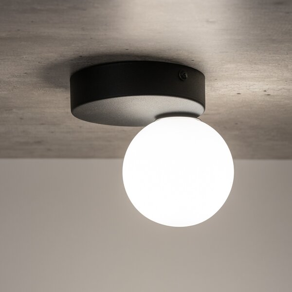 TK Lighting Bianca Black lampă de tavan 1x6 W alb-negru 5681