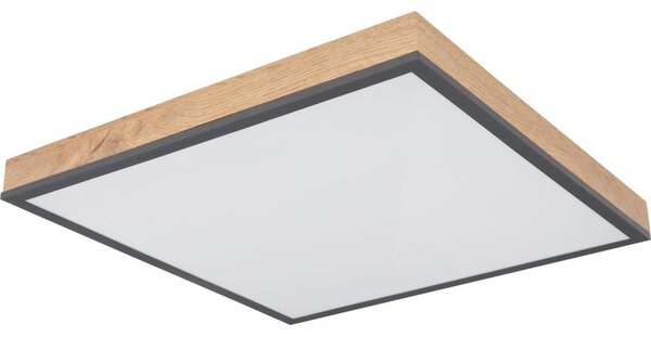 Globo 416080WD2-CCT - Plafonieră LED dimabilă DORO 24W/230V 3000-6500K 45x45 cm