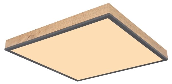 Globo 416080WD2-CCT - Plafonieră LED dimabilă DORO 24W/230V 3000-6500K 45x45 cm