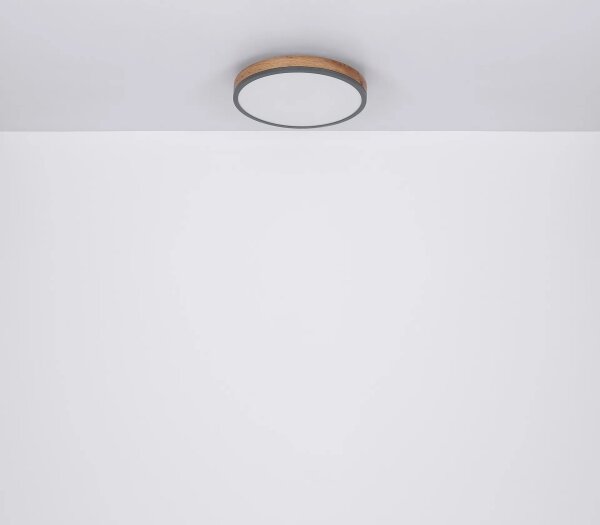 Globo 416080WD2R-CCT-LED Plafonieră DORO dimmabilă 24W/230V 3000-6500K diam. 45 cm