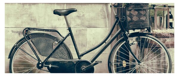 Tablou - Bicicleta de epocă cu flori (120x50 cm)