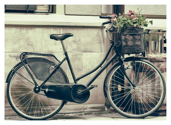 Tablou - Bicicleta de epocă cu flori (70x50 cm)