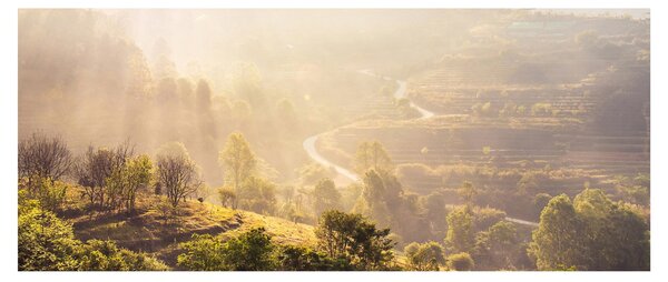 Tablou - Zori de zi (120x50 cm)