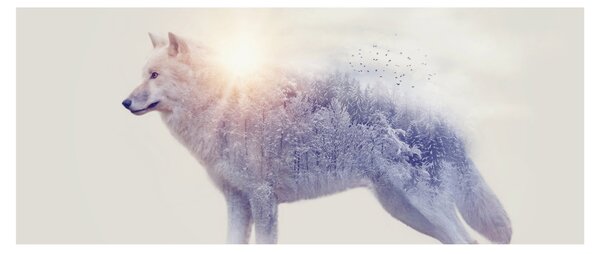 Tablou - Lupul arctic oglindit în peisaj sălbatic (120x50 cm)