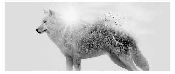 Tablou - Lupul arctic oglindit în peisajul sălbatic, alb-negru (120x50 cm)