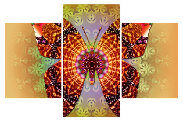 Tablou - Fluture etno (90x60 cm)