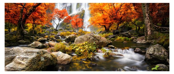 Tablou - Cascade în pădurea portocalie (120x50 cm)