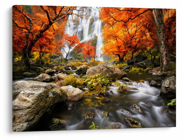 Tablou - Cascade în pădurea portocalie (70x50 cm)