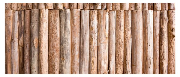 Tablou - Bambus (120x50 cm)