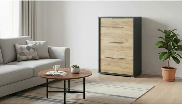Comoda RIOMA NEW TYP 22, gri grafit/stejar artisan, PAL laminat, 75x38