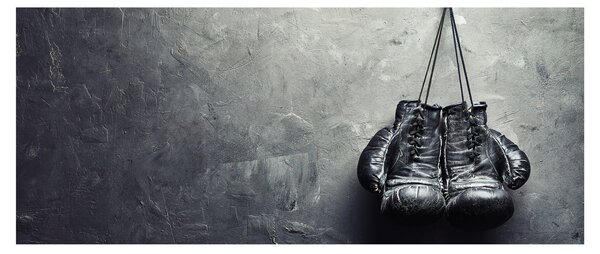 Tablou - Mănuși de box (120x50 cm)