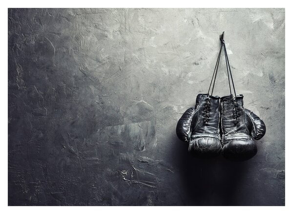 Tablou - Mănuși de box (70x50 cm)