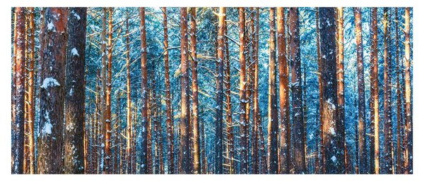 Tablou - Pădurea iarna (120x50 cm)