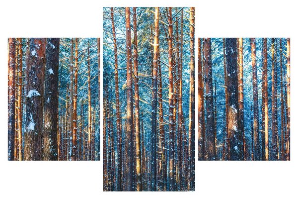 Tablou - Pădurea iarna (90x60 cm)