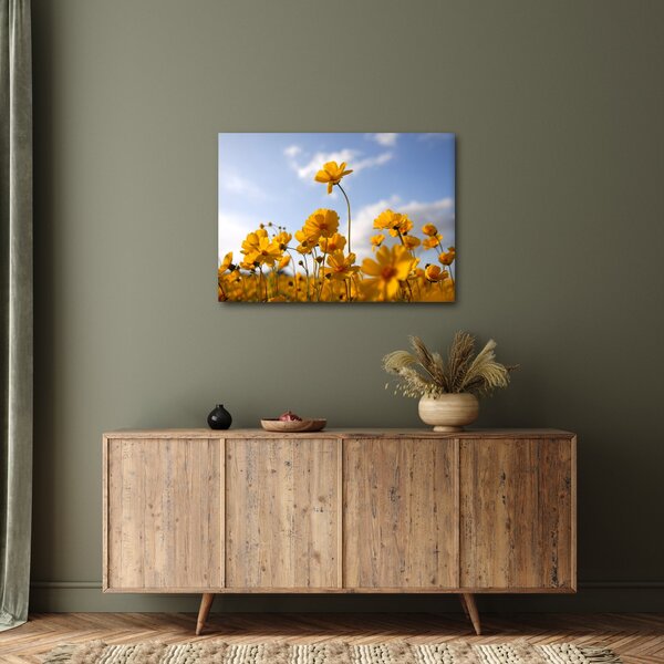 Tablou - Câmp cu flori galben deschis (70x50 cm)