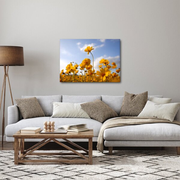 Tablou - Câmp cu flori galben deschis (70x50 cm)