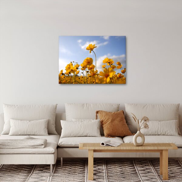 Tablou - Câmp cu flori galben deschis (70x50 cm)