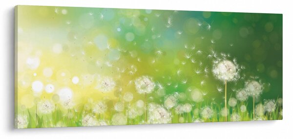Tablou - Păpădie înflorită (120x50 cm)