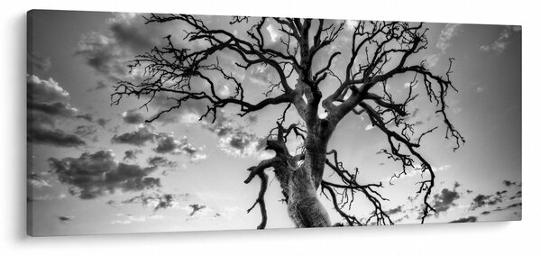 Tablou - Copacul, alb-negru (120x50 cm)