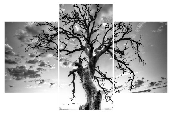 Tablou - Copacul, alb-negru (90x60 cm)