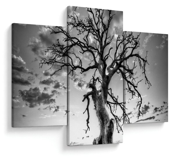 Tablou - Copacul, alb-negru (90x60 cm)