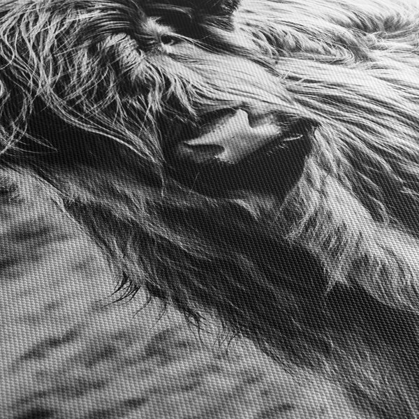Tablou - Highland - vacă scoțiană (cu ceas) (90x30 cm)