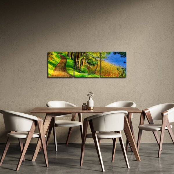Tablou - poteci pe malul apei (cu ceas) (90x30 cm)