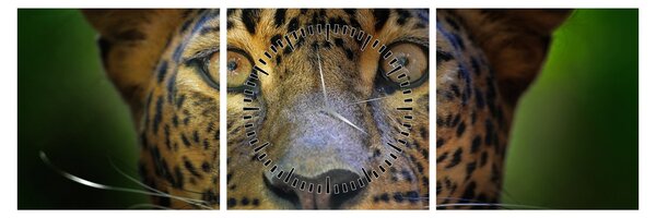 Tablou - Portretul leoparduslui, Sri Lanka (cu ceas) (90x30 cm)