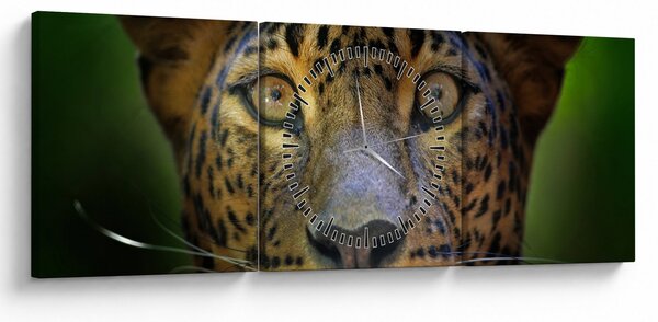 Tablou - Portretul leoparduslui, Sri Lanka (cu ceas) (90x30 cm)